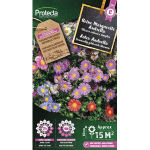 Protecta Bloemen zaden: Aster Andrella gemengd