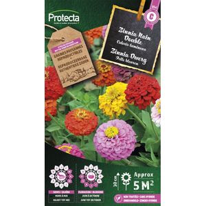 Protecta Bloemen zaden: Zinnia Dwerg Gemengd