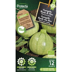 Protecta Groente zaden: Courgette Ronde van Nice Biologisch