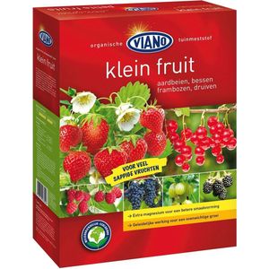 Aardbeien - Goedkope plantenbakken kopen? | Korting tot 34