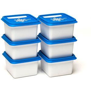 Kigima Mini-vriesdozen, 12 x 0,31 l, rechthoekig, meerkleurig, voorraaddozen met deksel, luchtdicht, vershouddozen met deksel, opbergdoos voor maaltijdvoorbereiding en organisatie