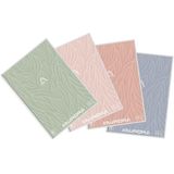 Schrift Aurora A4 Lijn 120blz 80gr Spiraal Assorti
