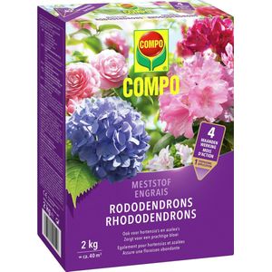 COMPO Meststof Rododendrons - directe en lange werking 4 maanden - voor een stevige groei en prachtige bloei - doos 2 kg