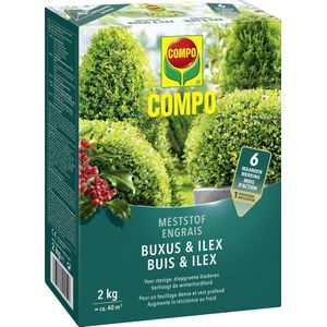 COMPO Meststof Buxus & Ilex - directe en lange werking 6 maanden - voor een stevige groei en diepgroene bladeren - doos 2 kg