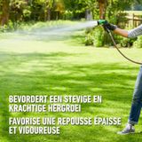 Compo Gazonmeststof Floranid Duo Met Mosbestrijder 100m² 3kg