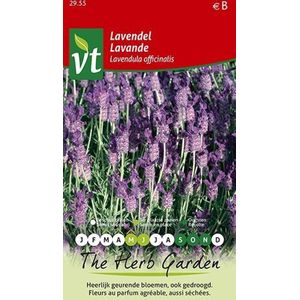 Lavendel Zaden - Aromatisch Kruid voor Tuin en Decoratieve Bloei
