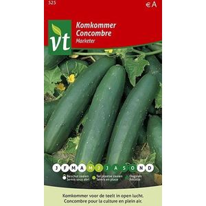 Komkommer Marketer - Sappige Vruchten van ca. 20 cm Lang