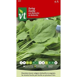 Zuring 'Van Belleville' - Aromatische Plant met Frisse Zure Smaak