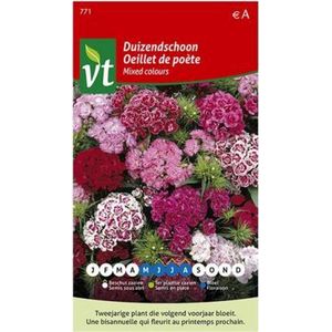 Duizendschoon Dubbel - Kleurrijke Bloemenmix voor Romantische Tuinen en Borders