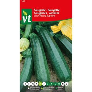 Courgette 'Black Beauty Superba' Zaden - Rijke oogst van glanzend donkergroene courgettes