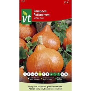 Pompoen Uchiki Kuri Zaden - Kleine Oranje Pompoen met Romige Smaak