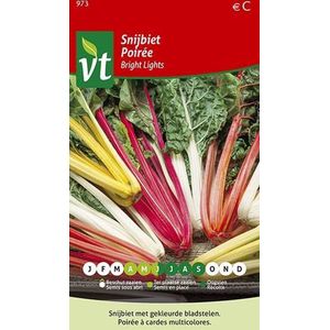 Snijbiet 'Bright Lights' - Gekleurde Bladstelen als Blikvanger in de Moestuin