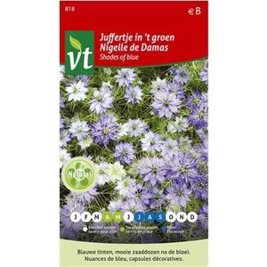 Juffertje in 't Groen - Nigella in Diverse Blauwe Kleuren met Sierlijke Bloei