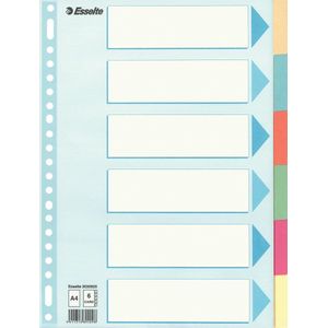 Tabbladen esselte premium a4 6dlg karton 23r ass | 25 stuks
