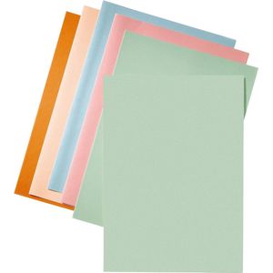 Esselte papieren inlegmap groen A4 (250 stuks)