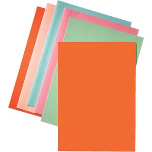 Esselte - Vouwmap - Oranje - Karton - A4 Formaat