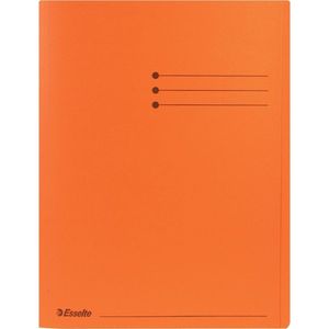 Esselte - Vouwmap - A4+ - 180g Karton - Or