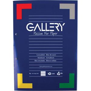 Gallery cursusblok, ft A4, 80 g/mA2, 2-gaatsperforatie, commercieel geruit, 100 vel