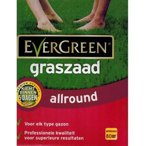 Graszaad allround 2.4 kg - Evergreen