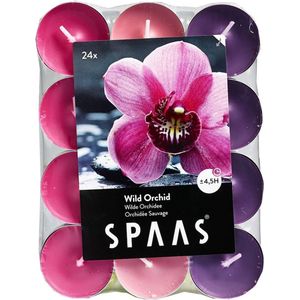 SPAAS 24 Theelichten Geur verschillende kleuren, ± 4,5 uur - Wild Orchid