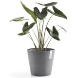 ECOPOTS Amsterdam 30 cm grijs