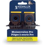 Edialux Muizenval Pro