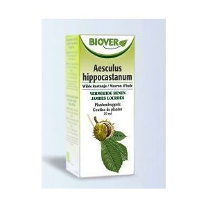 Ocebio - Wilde Kastanje Teinture Bio - 50 ml - Fytotherapie