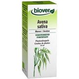 Biover - Avena Sativa Tinctuur - Kruidenpreparaat - 100ml