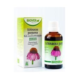 Echinapurpurea tinctuur bio