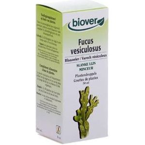 Blaaswier Teinture 50 ml  -  Ocebio