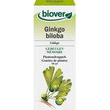 Biover Ginkgo biloba - Supplement - Goede concentratie – Vegan tinctuur met ginkgo - 50 ml