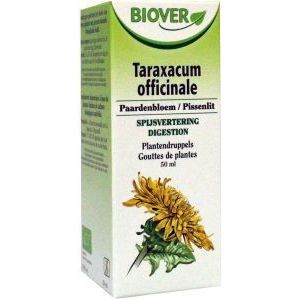 Taraxacum officinalis bio