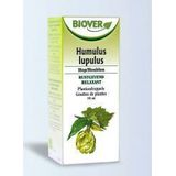 Humulus lupulus bio