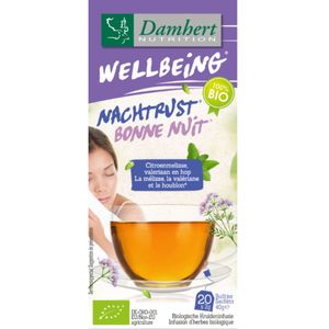 6x Damhert Wellbeing Thee Goede Nachtrust 20 stuks