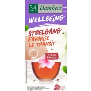 12x Damhert Wellbeing Thee Stoelgang 20 stuks