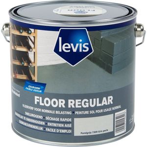 Levis Expert Floor Regular - Parelgrijs - 2,5 L