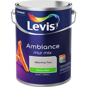 Levis Ambiance Muurverf - Extra Mat - Colorfutures 2020 - Meaning Two - 5 Liter