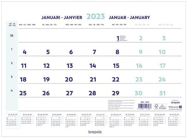 Maandkalender 2025 46x31cm Brepols Kalender
