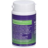 Mannavital Kyolic + Lecithine Caps 200