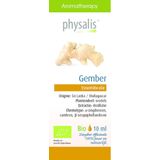 Physalis Gember bio 10 Milliliter