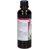 Physalis - Cardioplex bio - Supplement - Meidoorn, Maretak, Daslook - 100ml