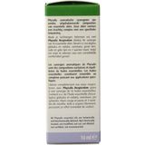 Physalis - Synergie Respiration - Aromatische Synergie - Bio - 10 ml