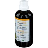 Fytotherapie - Alchemilla vulgaris - Hydroalcoholisch Extract - 100% Puur