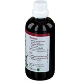 Fytotherapie - Viscum album - Hydroalcoholisch Extract - 100% Puur en Natuurlijk