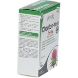 Physalis - Mariadistel Forte - Antioxidanten - 500mg - Extract van Mariadistel