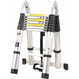 Telescopische Ladder Dubbel - 2 x 2,5 M - 5 M