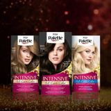 Palette 8 Donkerbruin Permanente Haarverf 115ml , 3 stuks