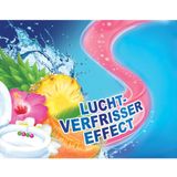 10x Witte Reus Toiletblok Kracht Actief Exotisch