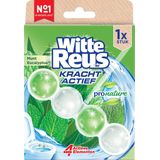 Witte Reus Pro Nature Munt Eucalyptus - 10 stuks