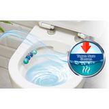 Witte Reus Blauw Actief Toiletblok - Eucalyptus - WC Blokjes Voordeelverpakking - 20 stuks